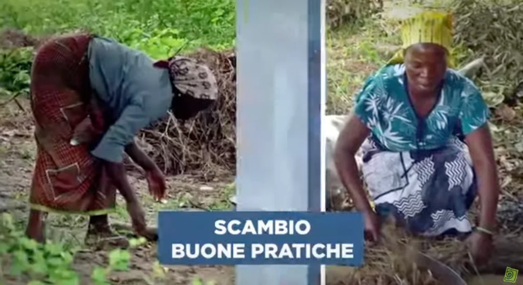 nutrire il pianeta 2015