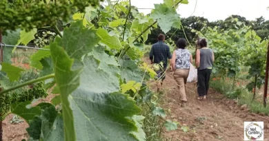 podcast agroecologia