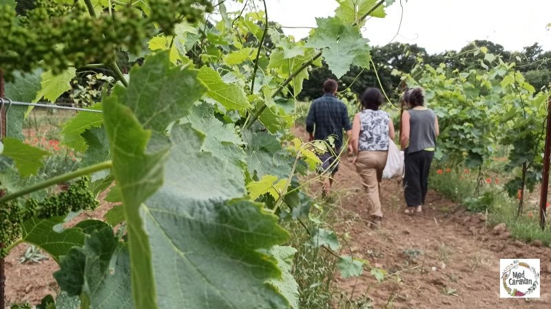 podcast agroecologia