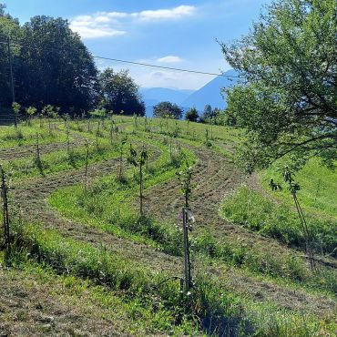 agroforesta di montagna