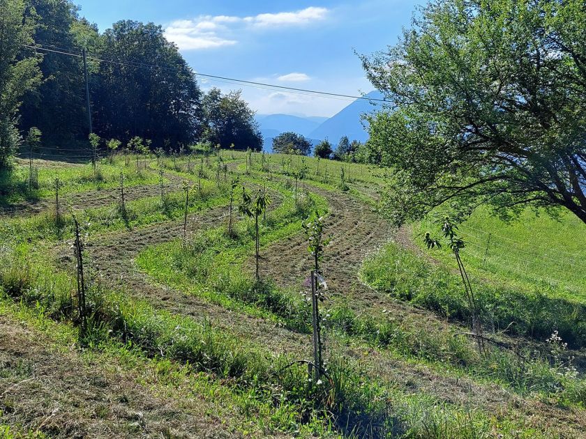 agroforesta di montagna