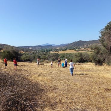 agroforestazione in sardegna