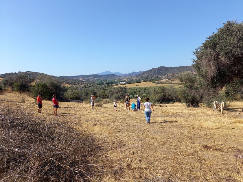 agroforestazione in sardegna