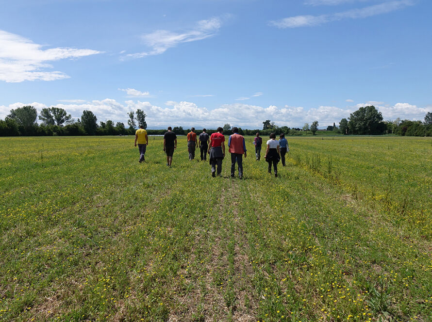 formazione partecipativa per aziende agricole