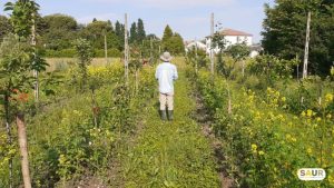 formazione agricoltura organica rigenerativa