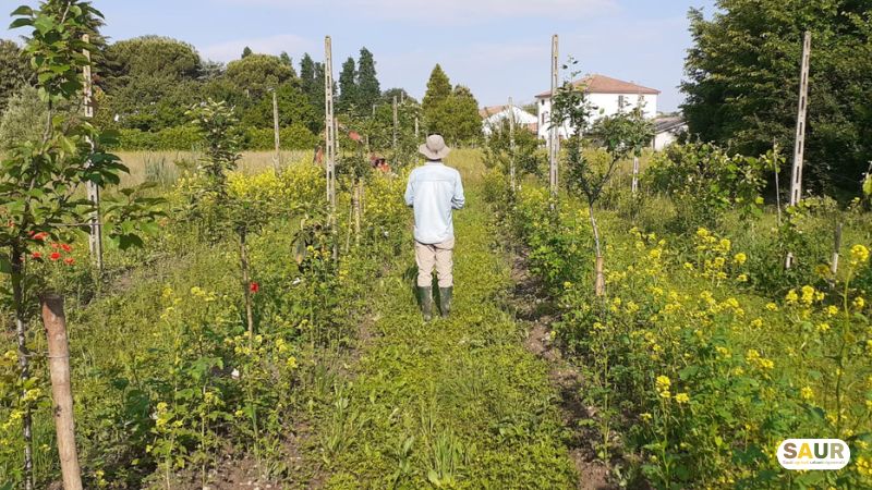 formazione agricoltura organica rigenerativa