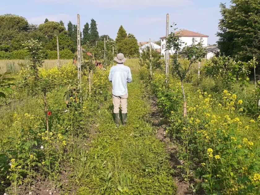 formazione agricoltura organica rigenerativa