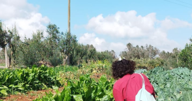agroforesta ecologica