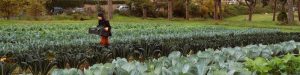 Agricoltura rigenerativa e produttori AOR