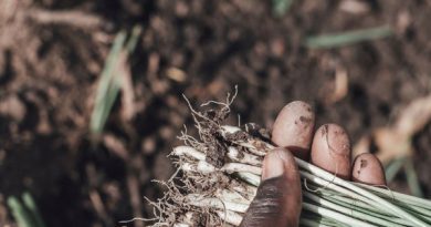 Resilienza in Burkina Faso
