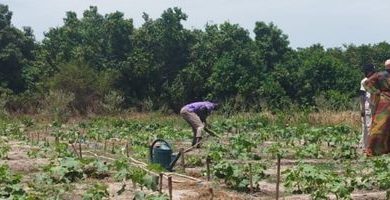 Changes - Un sistema agroalimentare per un cibo di qualità