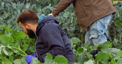 transizione agroecologica