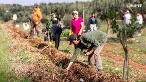 mappatura delle agroforeste