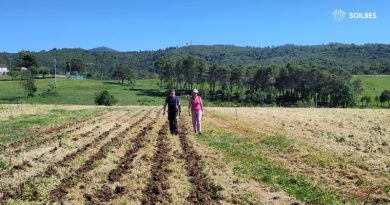 innovazione agroecologica