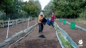 biochar