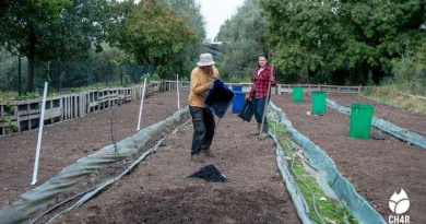 biochar
