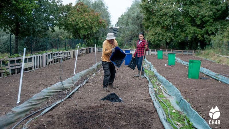 biochar