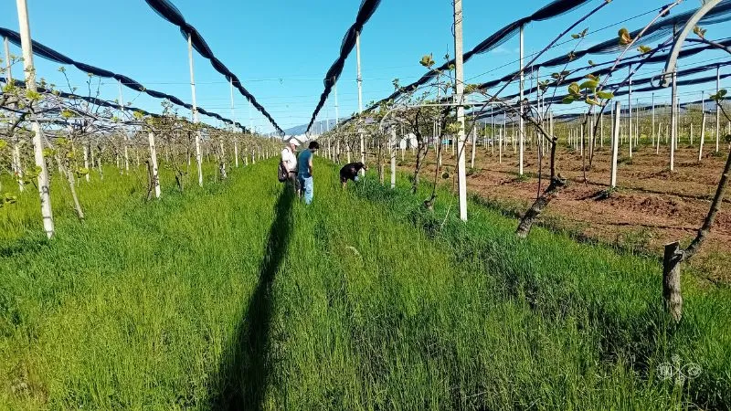 pratiche agroecologiche e rigenerative