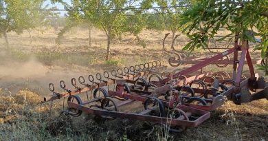 tecnico agronomo