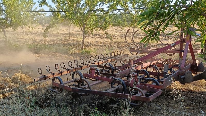 tecnico agronomo