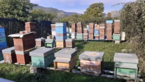 agroecologia