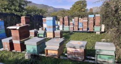 agroecologia