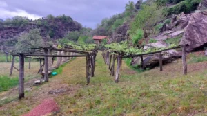 podcast agroecologia
