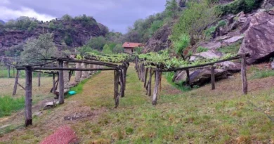 podcast agroecologia