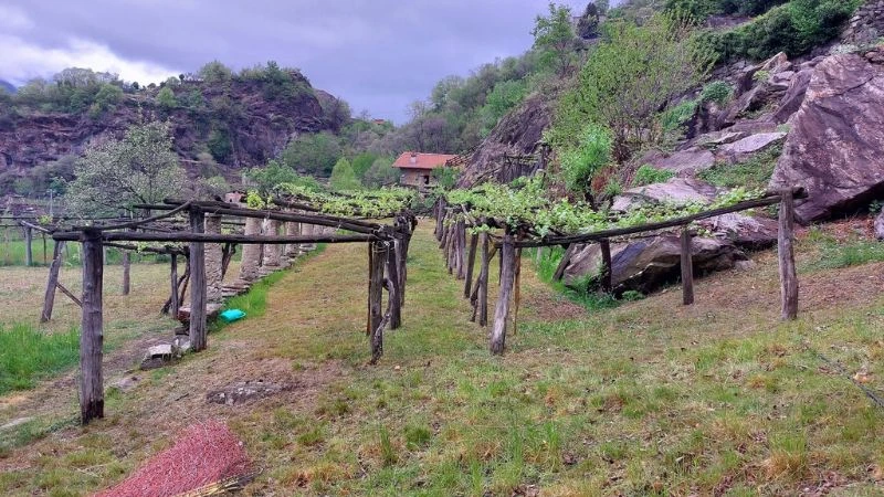 podcast agroecologia