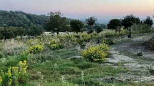 podcast agroecologia