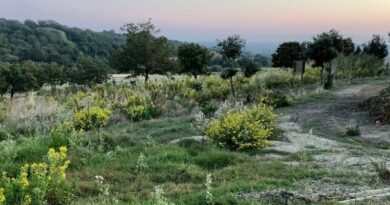 podcast agroecologia