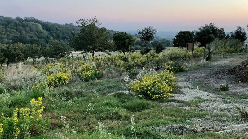 podcast agroecologia