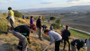 transizione agroecologica