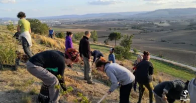 transizione agroecologica