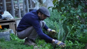 agroecologia