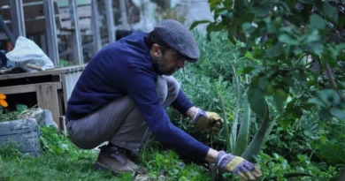 agroecologia