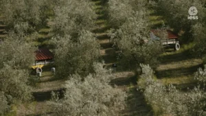 azioni agroecologiche