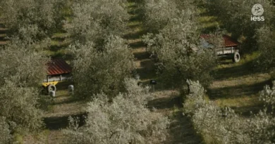 azioni agroecologiche