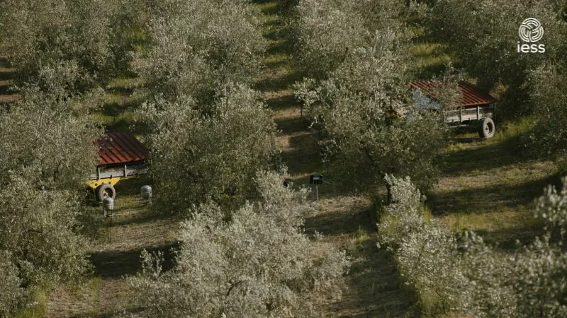 azioni agroecologiche