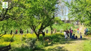 educazione ambientale