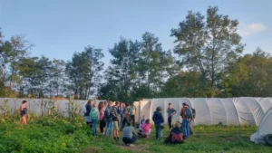 politiche alimentari