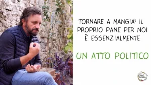 Antonio Pellegrino