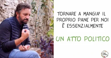 Antonio Pellegrino