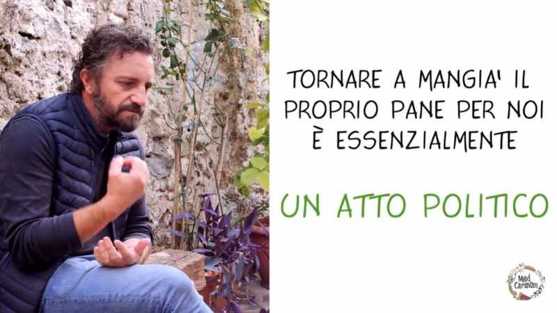 Antonio Pellegrino