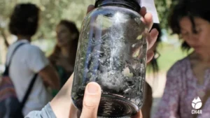 biochar