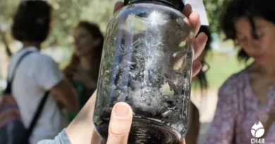 biochar