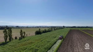 carbonio nel suolo
