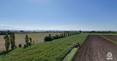 carbonio nel suolo