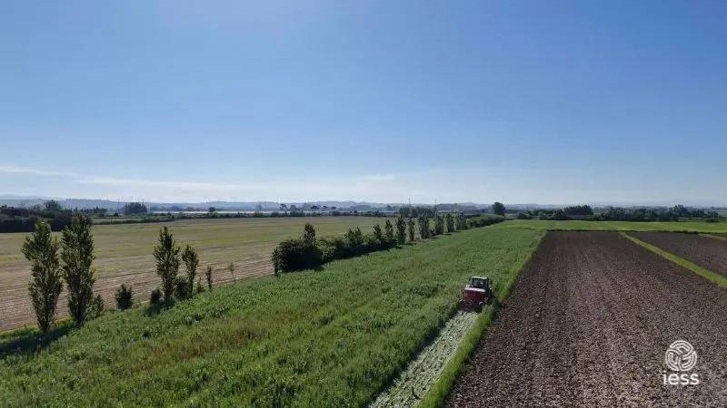 carbonio nel suolo