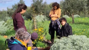 agroforeste